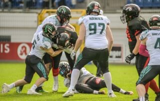Solider Auftakt der Hawks vs. Stallions