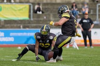 Regionalliga Süd Bulldogs vs. Knights